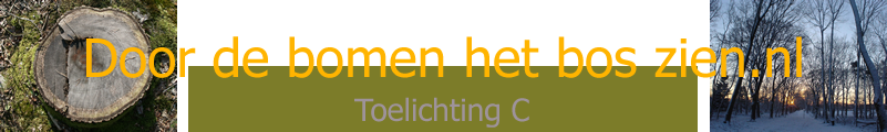 Toelichting D