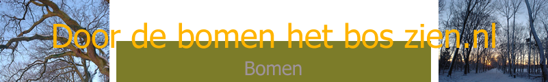 Bomen